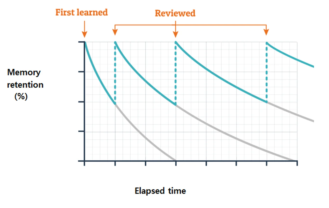 The forgetting curve: a diagram showing how memory strength declines over time and is restored by retrieval practice.